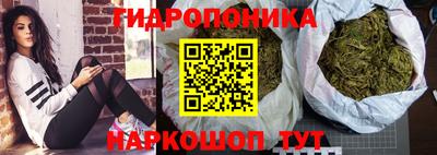 гидропоника Берёзовский