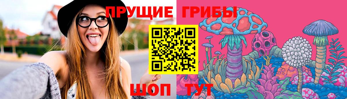 Каменск-Уральский  Галлюциногенные грибы Cubensis  Вход с VPN  продажа наркотиков  Галлюциногенные грибы прущие грибы 